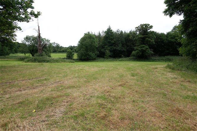 Glenard, Manus, Clarecastle, Co. Clare