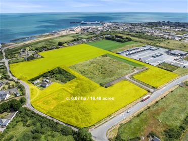 Image for 6.67 Hectares / 16.46 Acres Zoned For Industry, Rosslare, Wexford