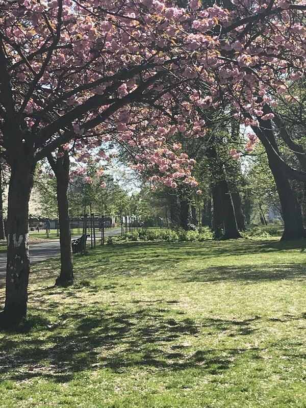 Quiet home in Donnybrook, Dublin