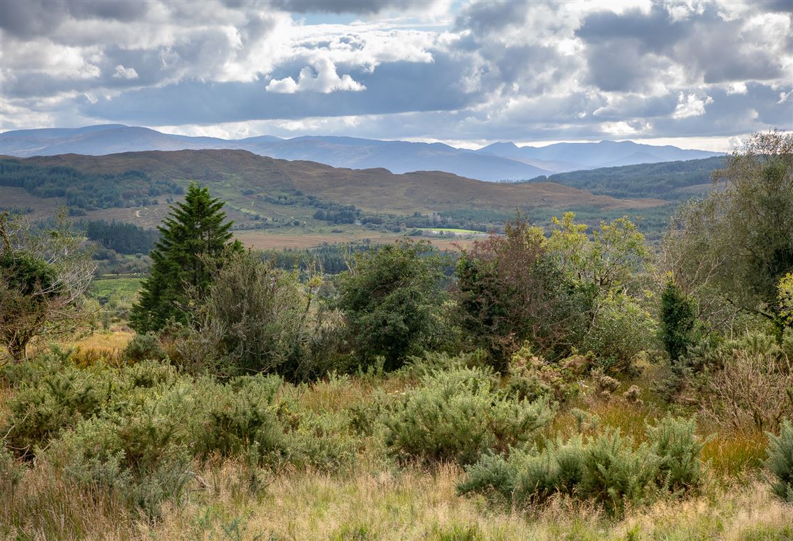Kilkeanna, Kenmare, Co. Kerry, V93 N4A8