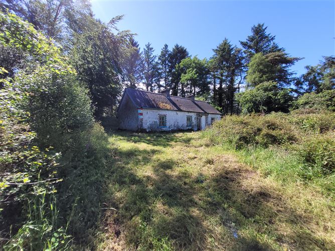 Straduffy, Kiltyclogher, Leitrim