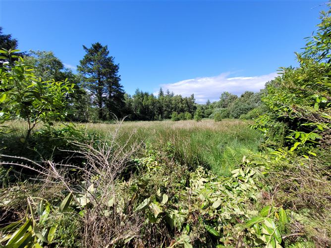 Straduffy, Kiltyclogher, Leitrim