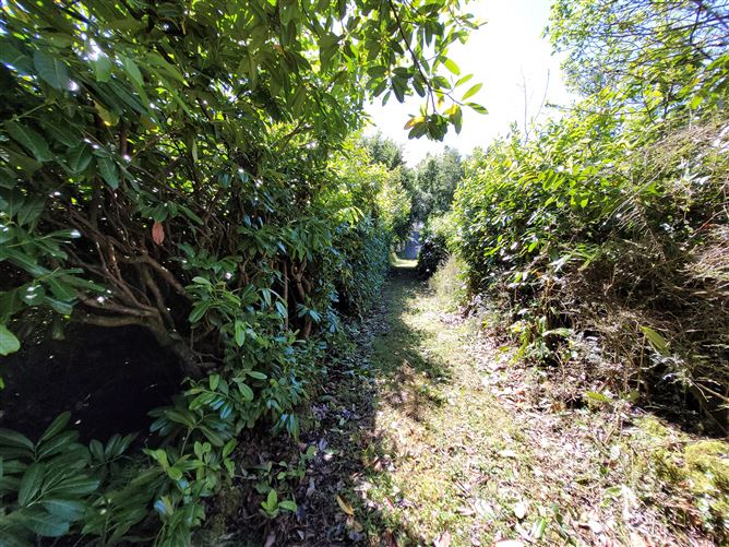Straduffy, Kiltyclogher, Leitrim
