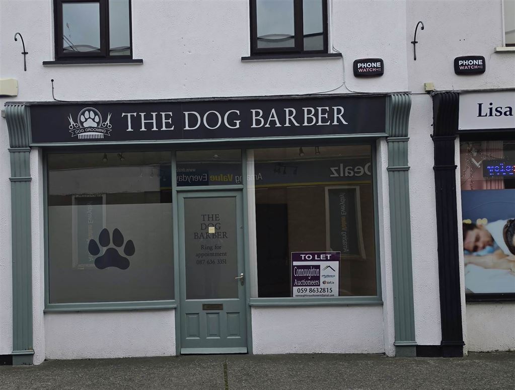 Convent Lane, Athy, County Kildare