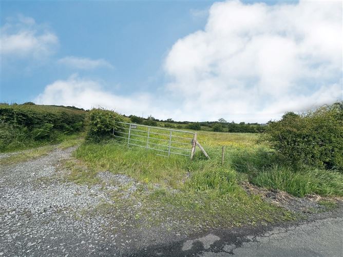 Site With F.P.P., Corlea, Ballybay, Co. Monaghan