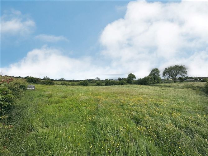 Site With F.P.P., Corlea, Ballybay, Co. Monaghan