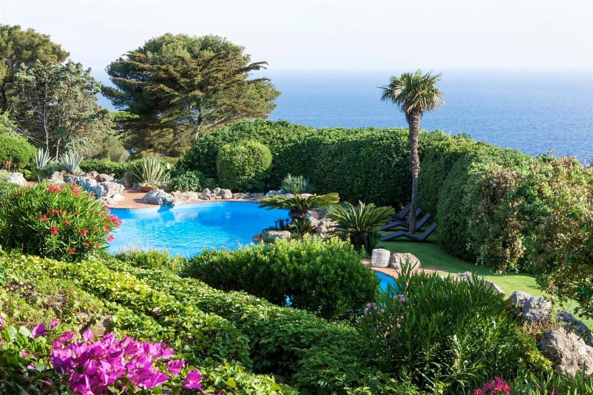 Seaside Geraniums,Ansedonia,Tuscany,Italy