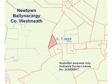 Image for Newtown, Ballynacarrigy, Westmeath