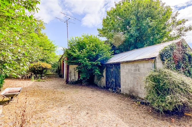 Photo 36 of 44 — Lower Main Street, Borris, Co. Carlow
