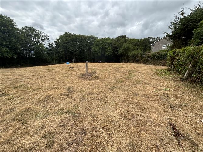 Photo 11 of 13 — Site on Station Road, Blarney, Cork
