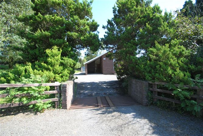Carraigaun, Ballaghmore, Borris-In-Ossory, Co. Laois