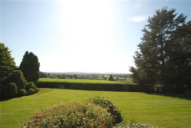 Carraigaun, Ballaghmore, Borris-In-Ossory, Co. Laois