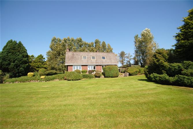 Carraigaun, Ballaghmore, Borris-In-Ossory, Co. Laois