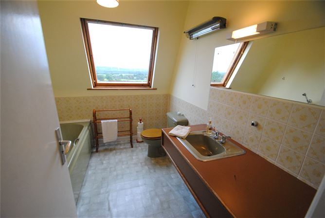 Carraigaun, Ballaghmore, Borris-In-Ossory, Co. Laois