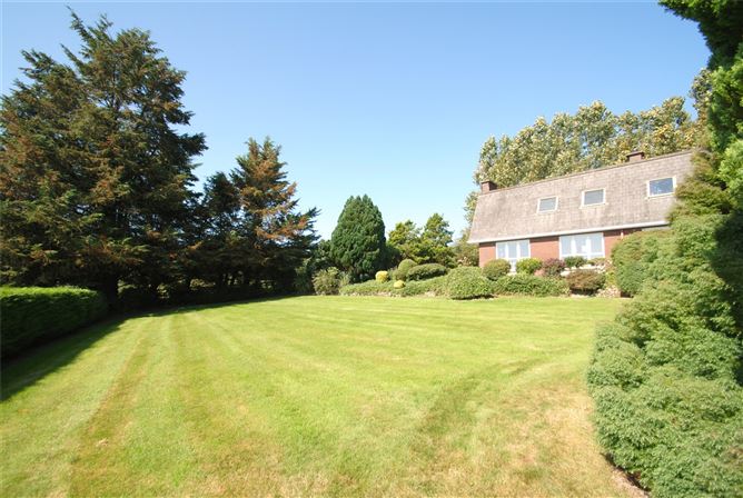 Carraigaun, Ballaghmore, Borris-In-Ossory, Co. Laois