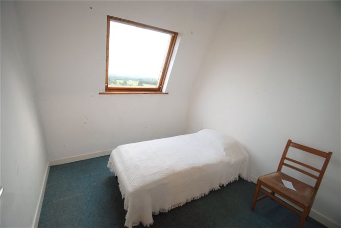 Carraigaun, Ballaghmore, Borris-In-Ossory, Co. Laois