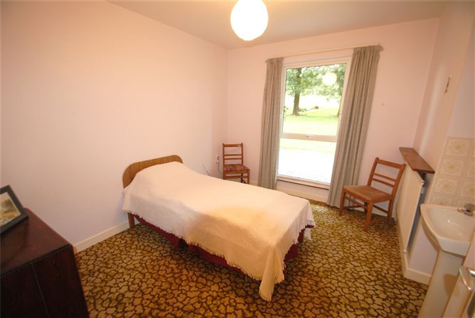 Carraigaun, Ballaghmore, Borris-In-Ossory, Co. Laois