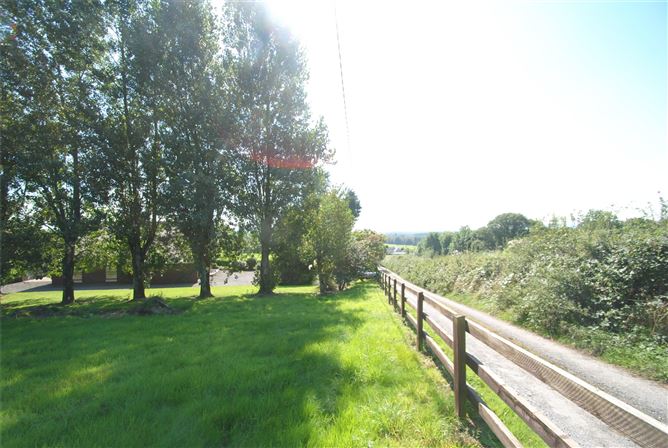 Carraigaun, Ballaghmore, Borris-In-Ossory, Co. Laois