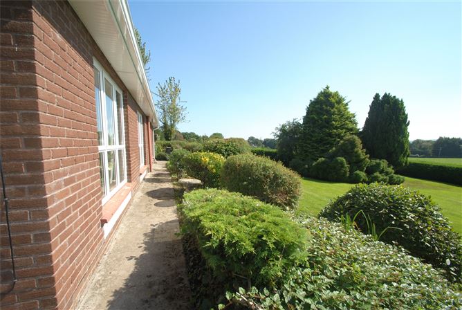 Carraigaun, Ballaghmore, Borris-In-Ossory, Co. Laois