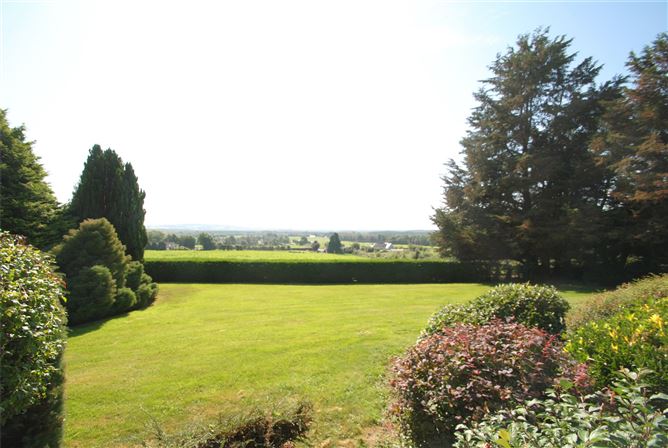 Carraigaun, Ballaghmore, Borris-In-Ossory, Co. Laois