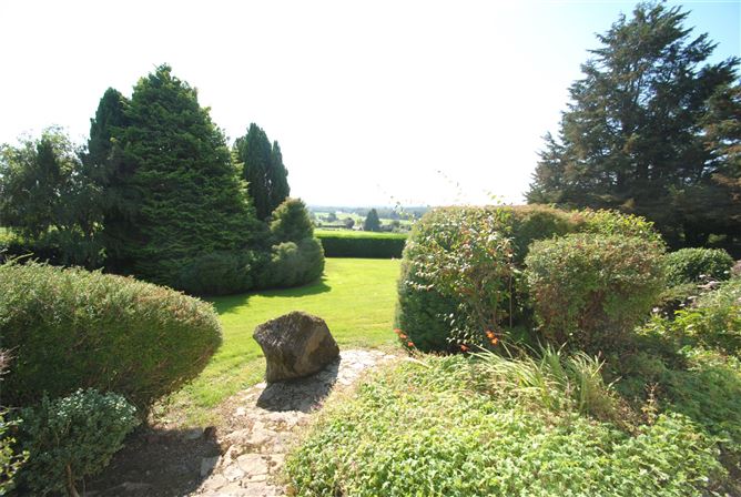 Carraigaun, Ballaghmore, Borris-In-Ossory, Co. Laois
