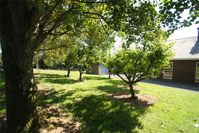 Carraigaun, Ballaghmore, Borris-In-Ossory, Co. Laois