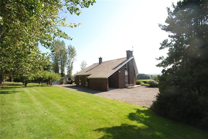 Carraigaun, Ballaghmore, Borris-In-Ossory, Co. Laois