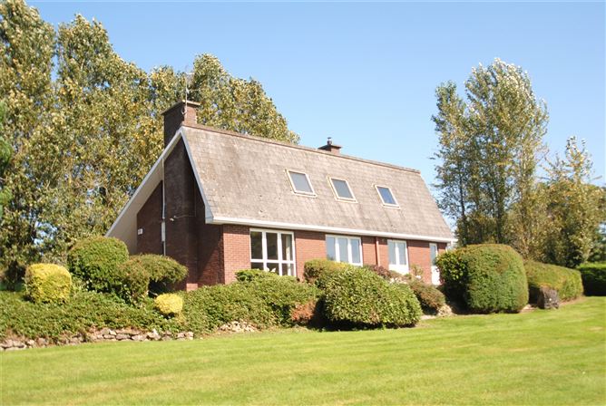 Carraigaun, Ballaghmore, Borris-In-Ossory, Co. Laois