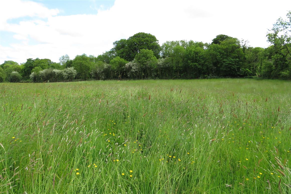 C. 5.6 Acres At, Ballygrace, Churchtown, Mallow, Co. Cork Sherry