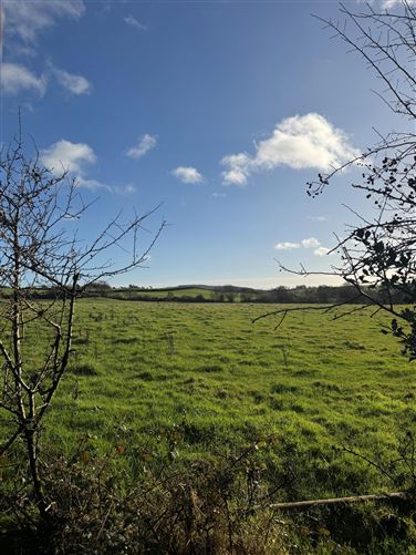 Photo 7 of 8 — Ballinakill, Rathdrum, Wicklow