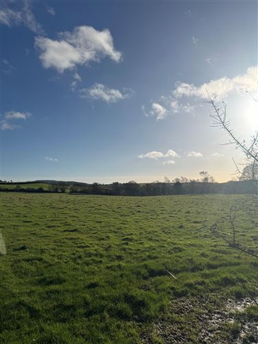 Photo 5 of 8 — Ballinakill, Rathdrum, Wicklow