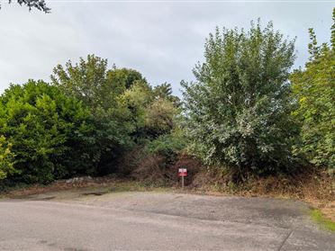Preaching Lane, Ballyconnell, Cavan