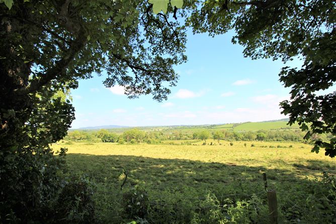 Srunahella , Castlepollard, Westmeath