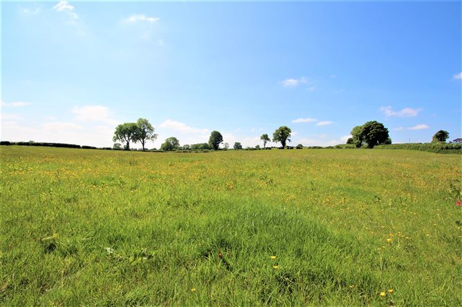 Srunahella , Castlepollard, Westmeath