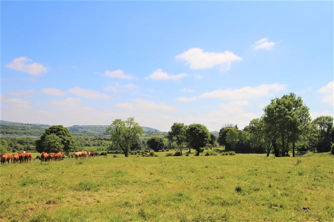 Srunahella , Castlepollard, Westmeath