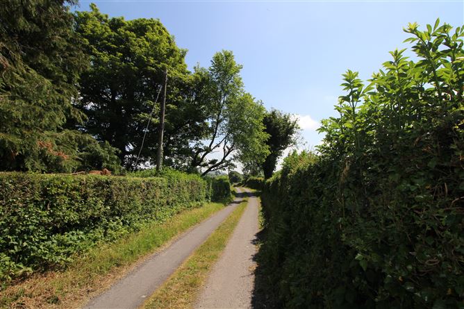 Srunahella , Castlepollard, Westmeath