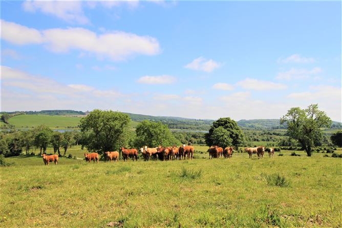 Srunahella , Castlepollard, Westmeath