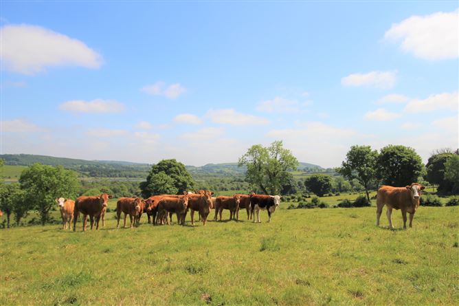 Srunahella , Castlepollard, Westmeath
