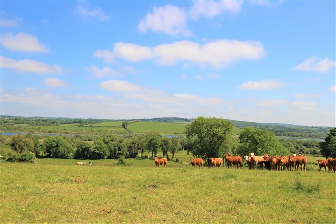Srunahella , Castlepollard, Westmeath