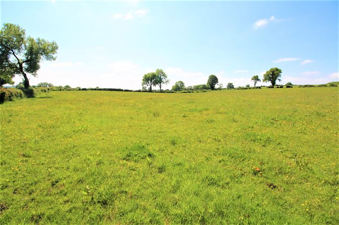 Srunahella , Castlepollard, Westmeath
