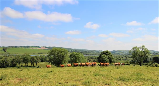 Srunahella , Castlepollard, Westmeath