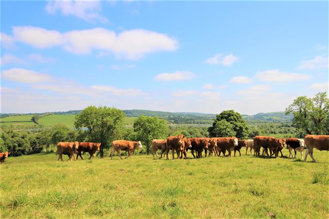 Srunahella , Castlepollard, Westmeath