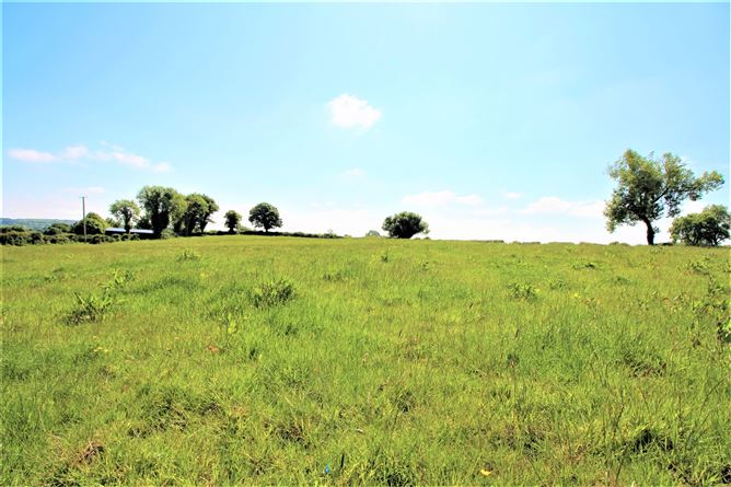 Srunahella , Castlepollard, Westmeath