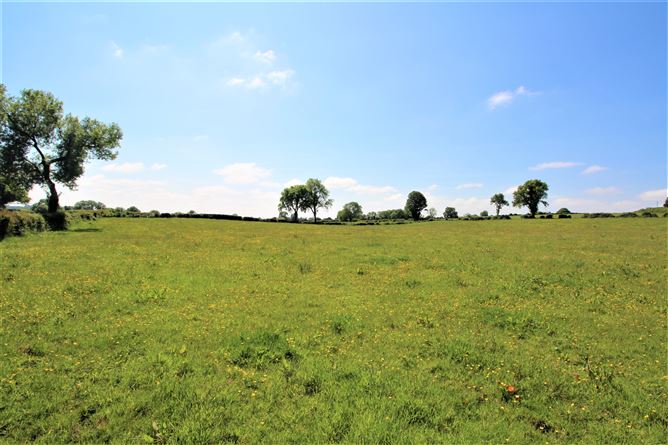 Srunahella , Castlepollard, Westmeath