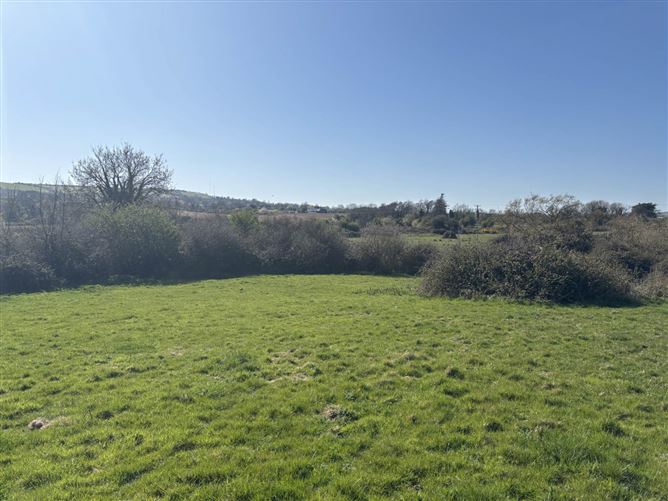Bog Of The Ring, Balbriggan, County Dublin
