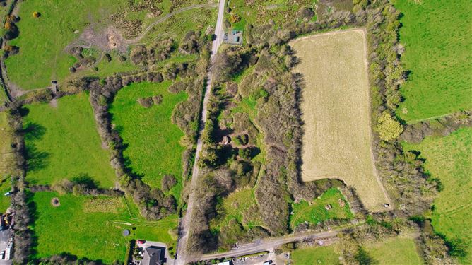 Bog Of The Ring, Balbriggan, County Dublin