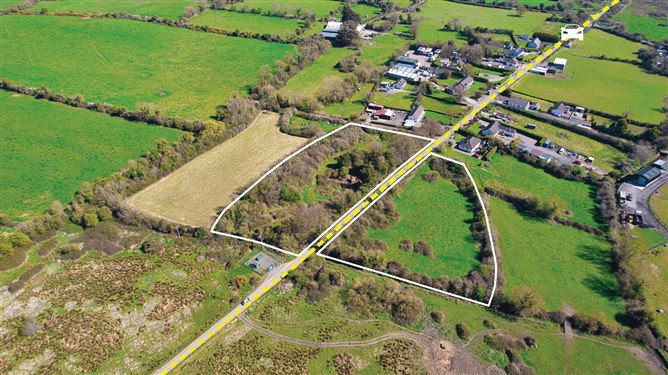Bog Of The Ring, Balbriggan, County Dublin