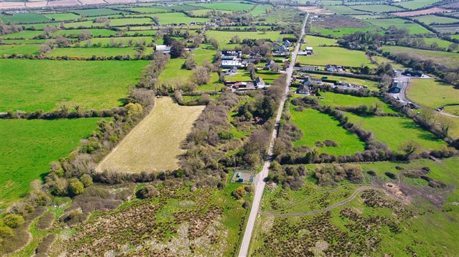 Bog Of The Ring, Balbriggan, County Dublin