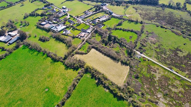 Bog Of The Ring, Balbriggan, County Dublin
