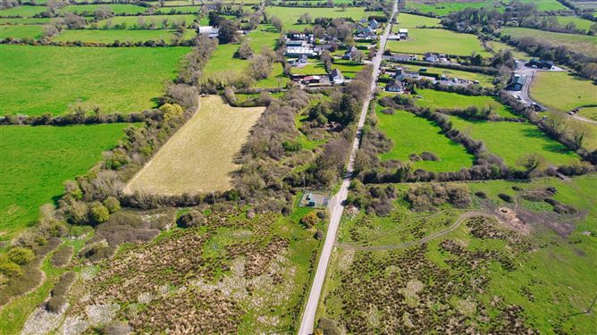 Bog Of The Ring, Balbriggan, County Dublin